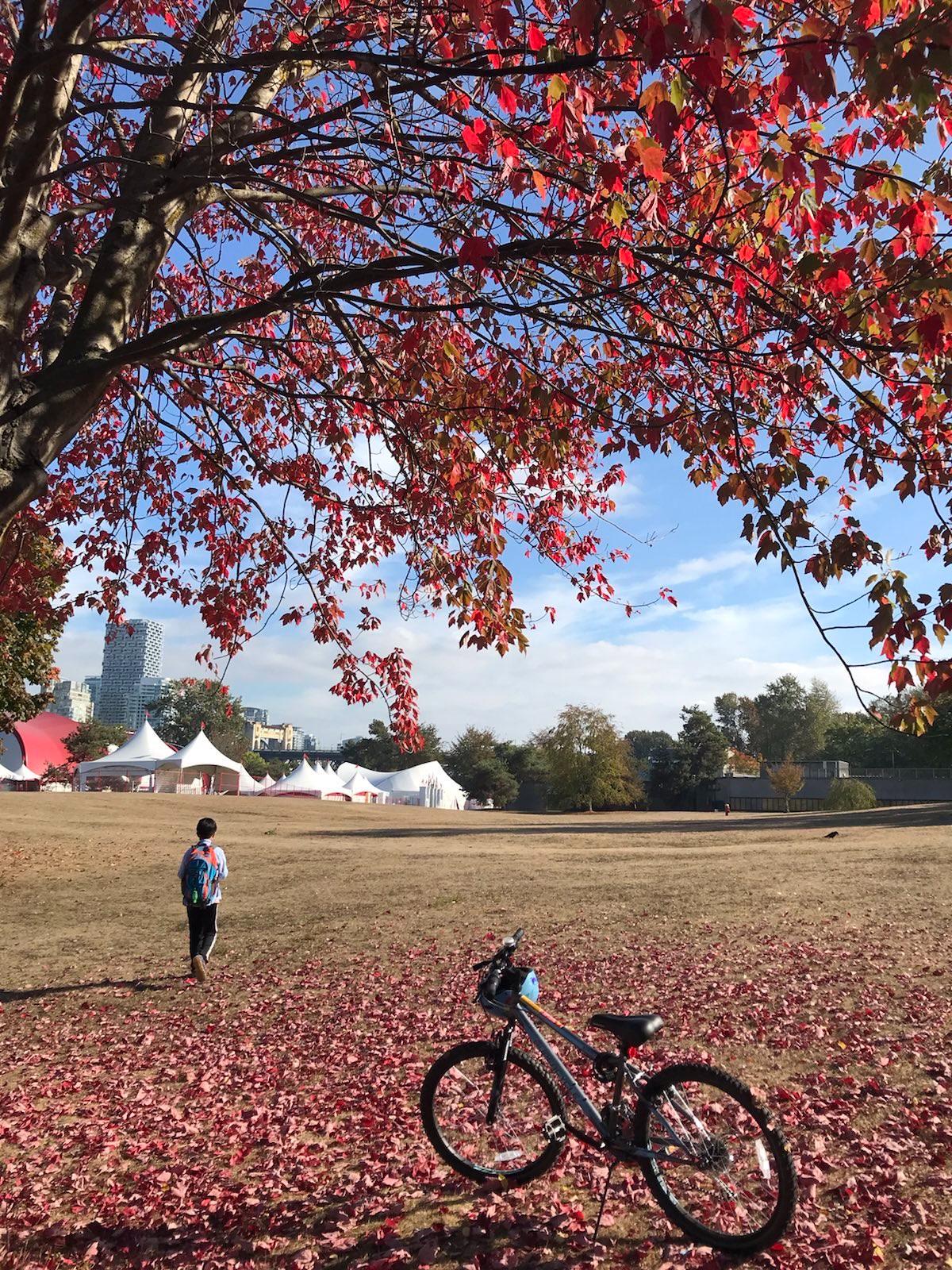 FallBike