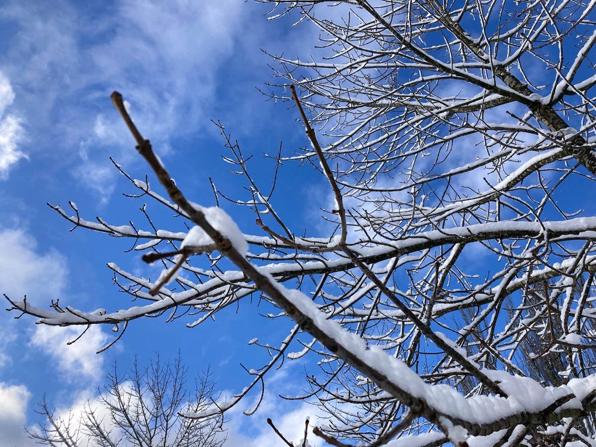Winter